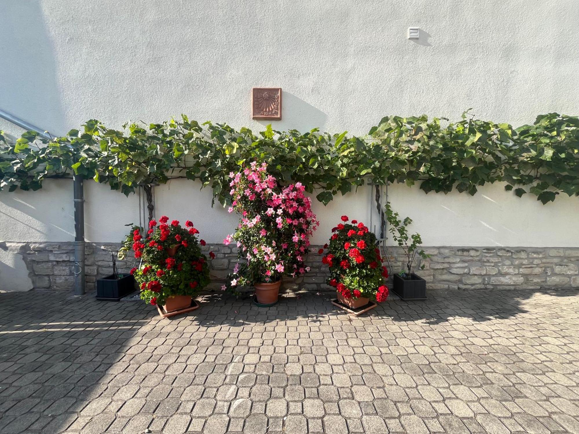 Zimmervermietung Barth Bernburg Exterior photo